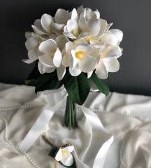 MAGNOLIA-1