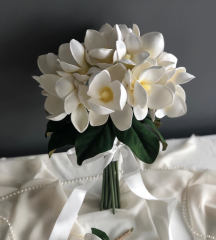 MAGNOLIA-1