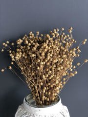 Natural Keten Otu-Luna Otu Kuru ÇiçekDemeti-Vazo Çiçeği