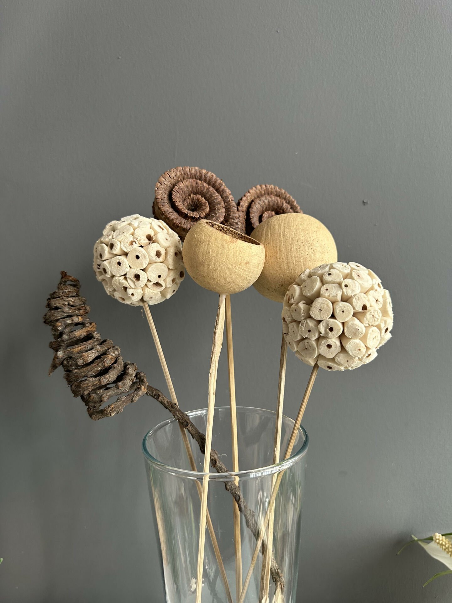 Tropik Natural Karışık Bitki-6