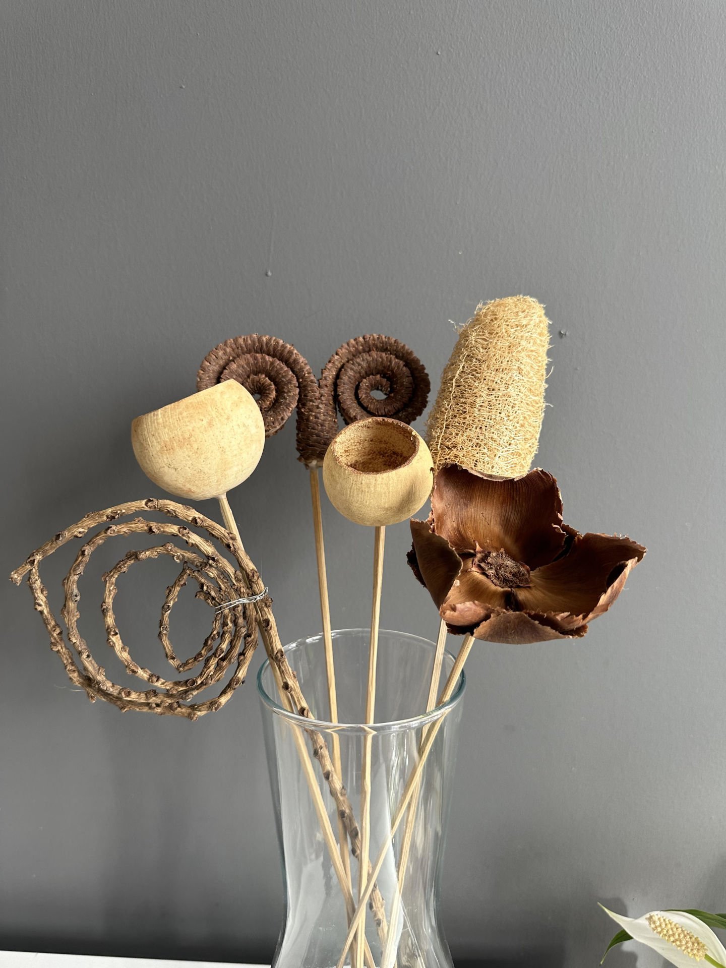 Tropik Natural Karışık Bitki-7