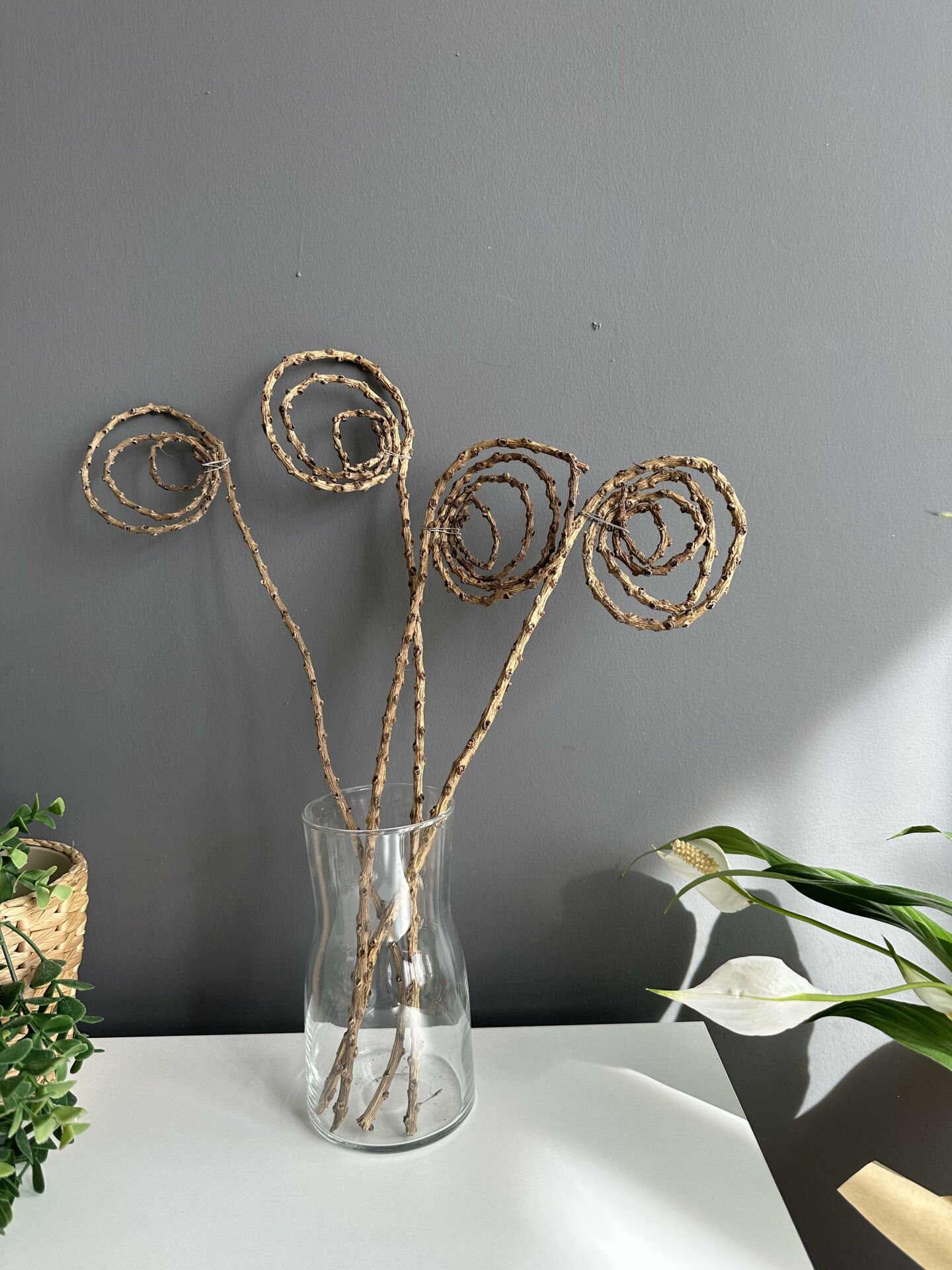 Tropik Meghan Tail 4 adet