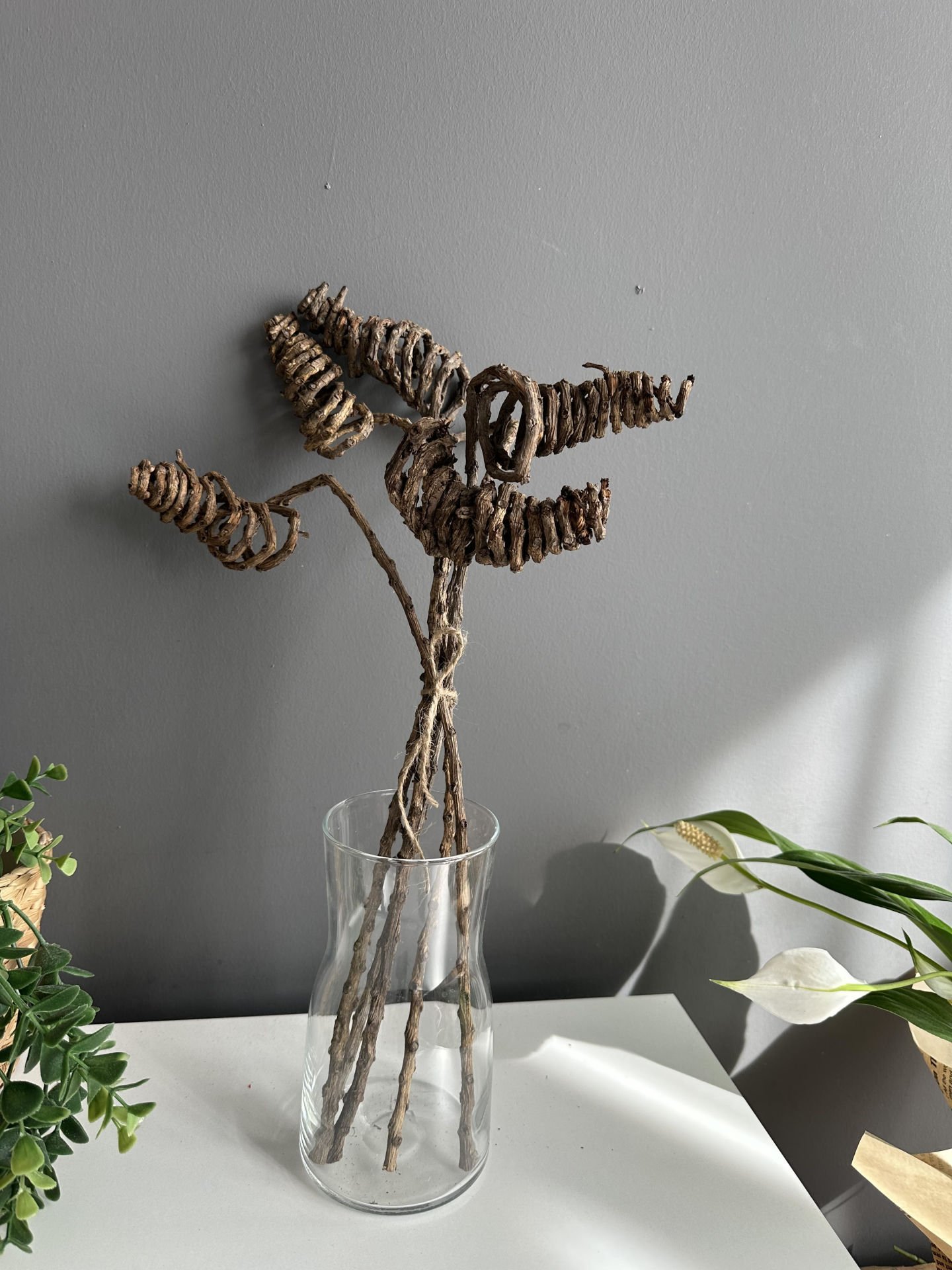 Tropik Spiral Tail 5 adet