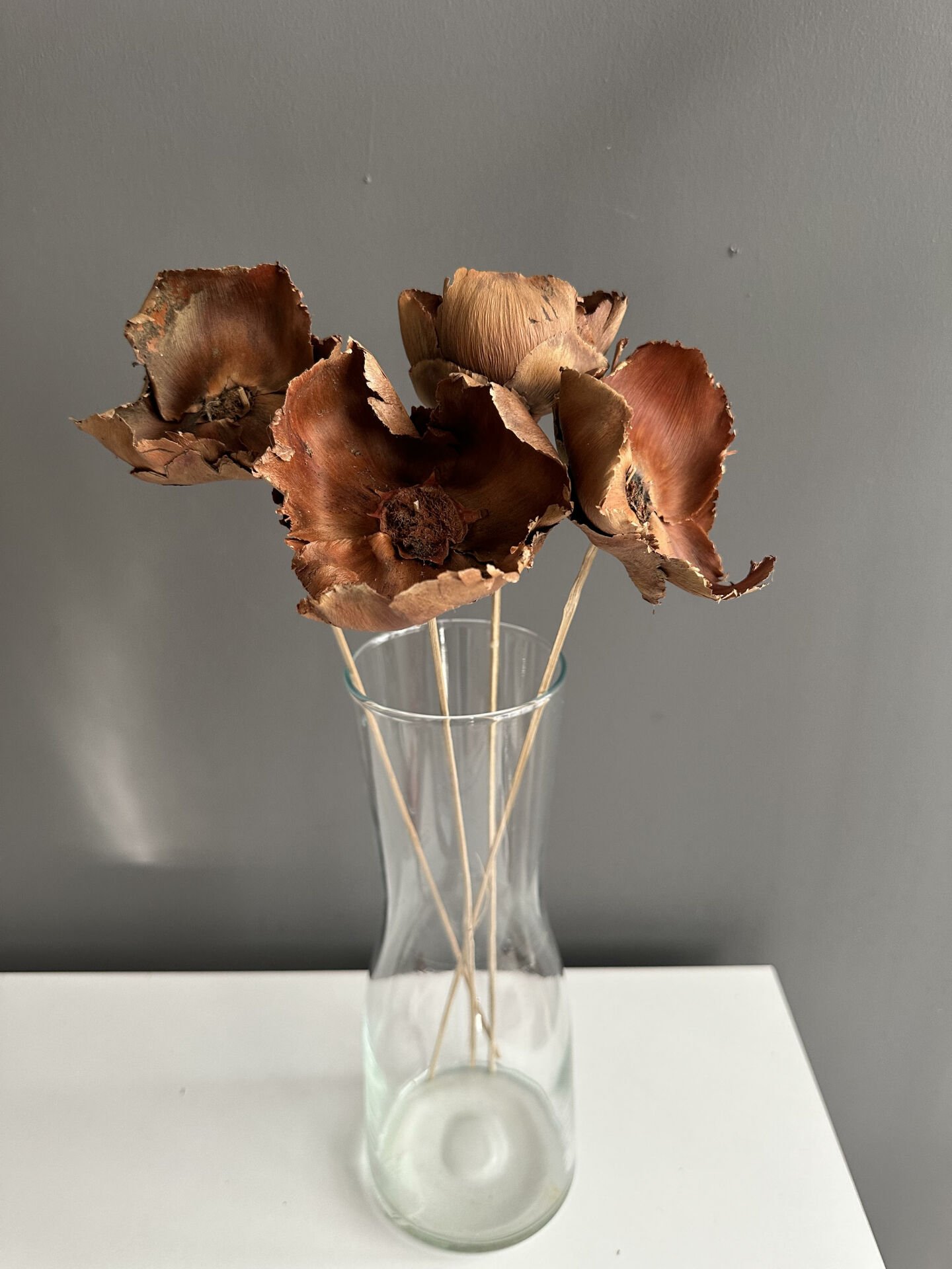 Tropik Palm Cap-4 Adet