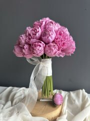 FUCHSIA