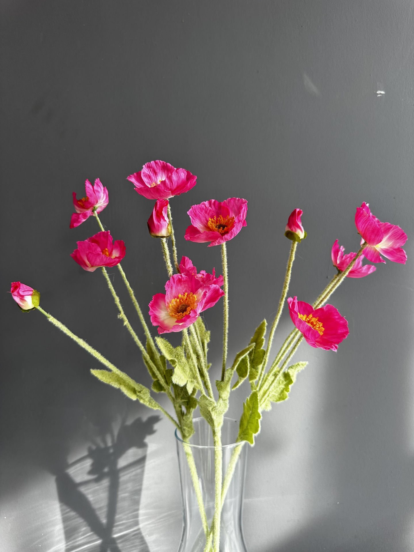 Fuşya Gelincik-3 Dal