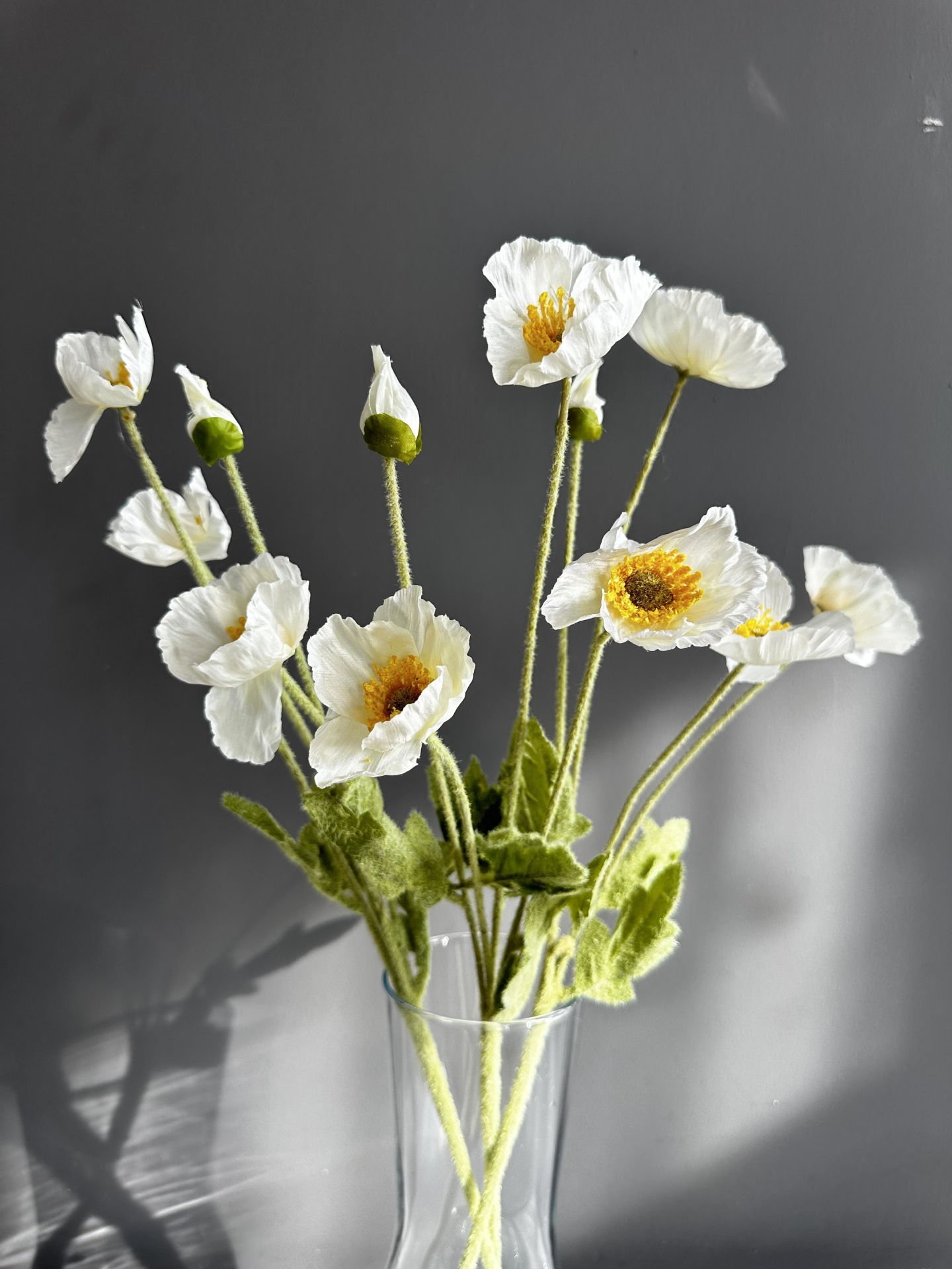 Beyaz Gelincik-3 Dal