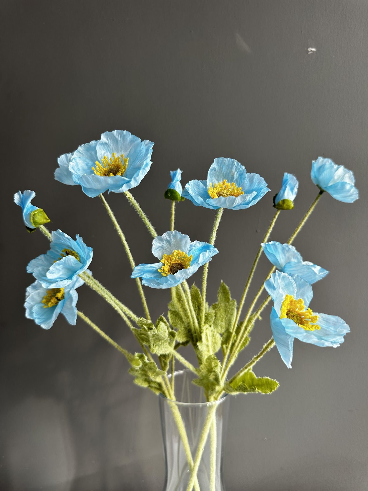 Bebe Mavisi Gelincik-3 Dal