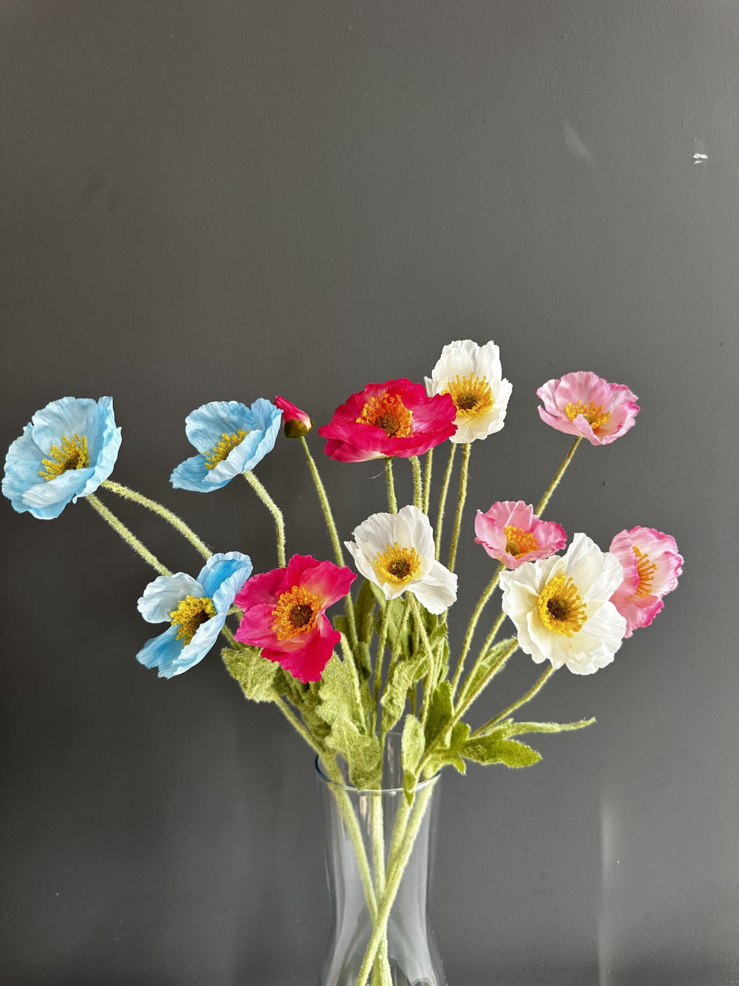 4 Renk Gelincik-Bahar Renkleri