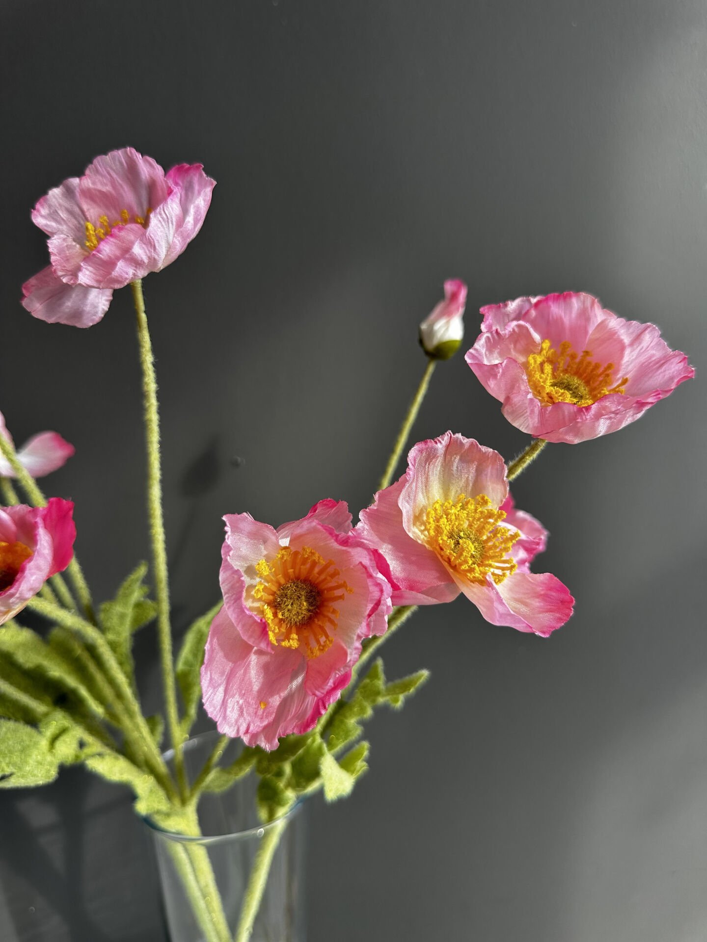 TOZ PEMBE GELİNCİK