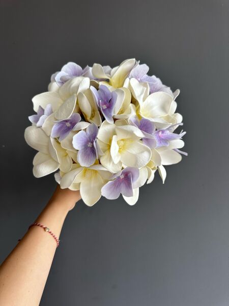DREAM OF LILAC