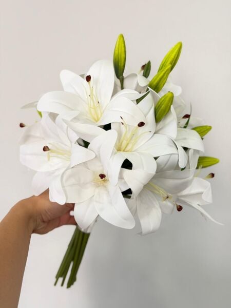 LILY-1